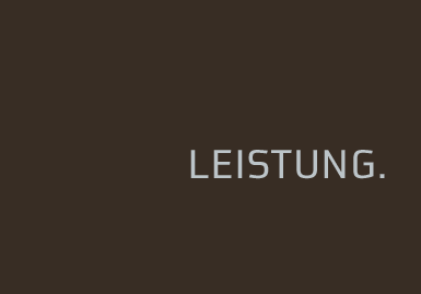 Leistung