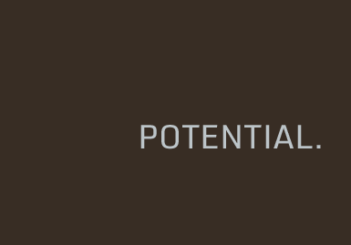 Potential
