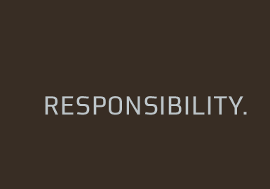 Responsibility